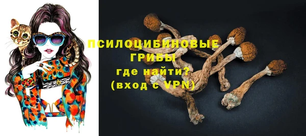 синтетический гашиш Алексин